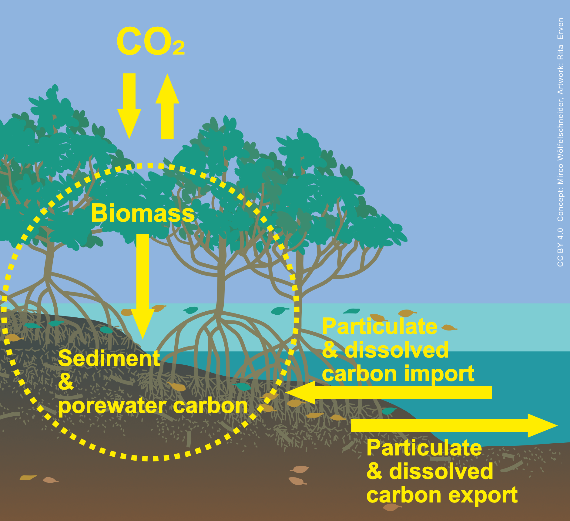 Cd R Ecosystem CDR atlas